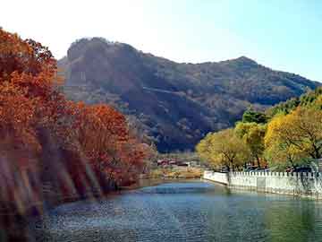 新澳天天开奖资料大全旅游团，激光祛痘吧